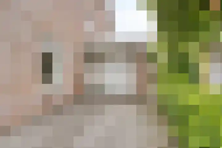 Overslaggronden 21 Kampen thumbnail 15