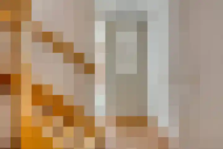 Overslaggronden 21 Kampen thumbnail 17