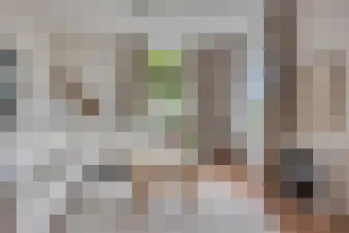 Overslaggronden 21 Kampen thumbnail 19