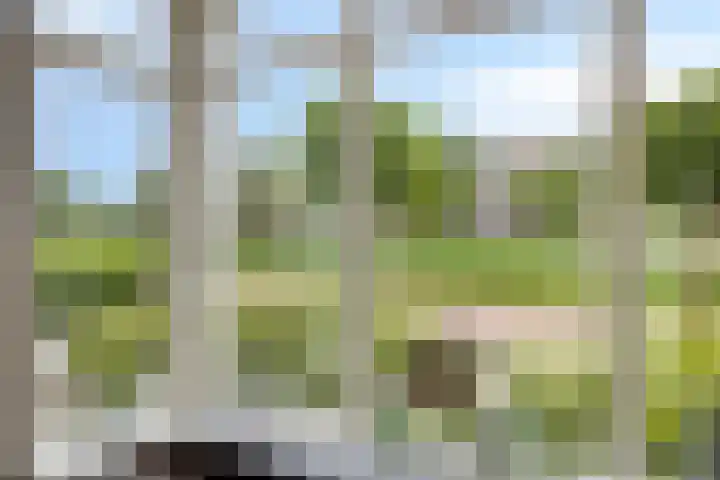 Overslaggronden 21 Kampen thumbnail 21
