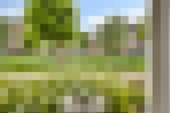 Overslaggronden 21 Kampen thumbnail 22