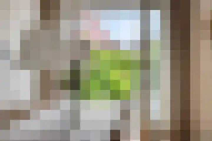 Overslaggronden 21 Kampen thumbnail 28
