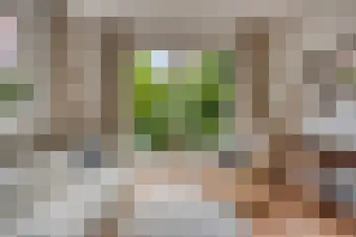 Overslaggronden 21 Kampen thumbnail 33