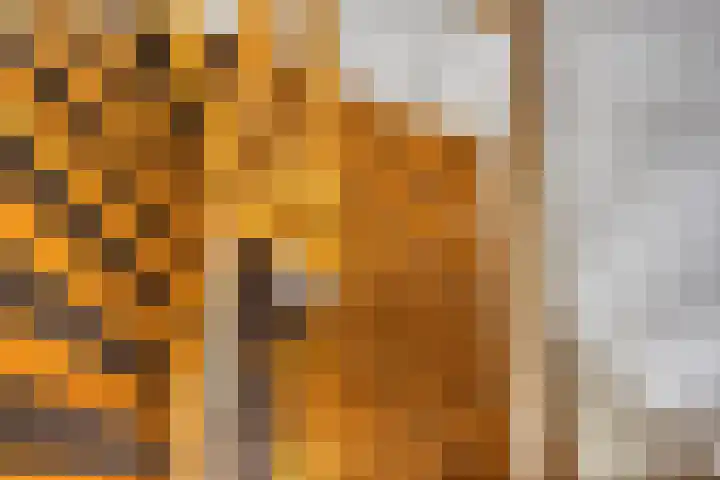 Overslaggronden 21 Kampen thumbnail 53