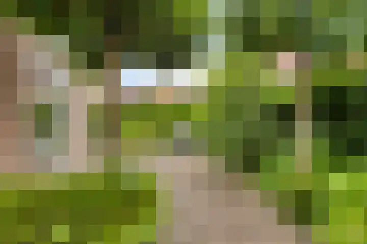 Overslaggronden 21 Kampen thumbnail 6