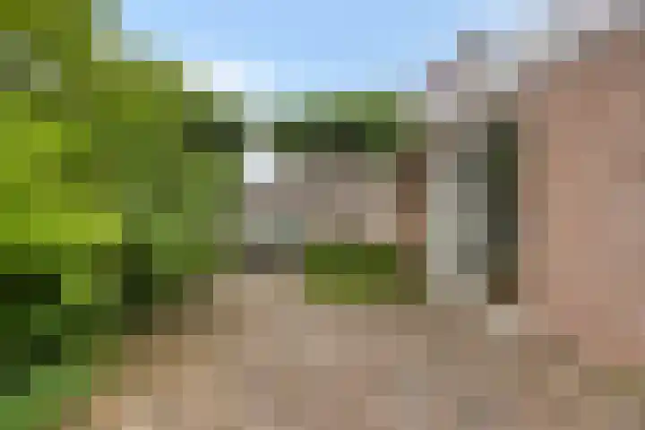 Overslaggronden 21 Kampen thumbnail 64