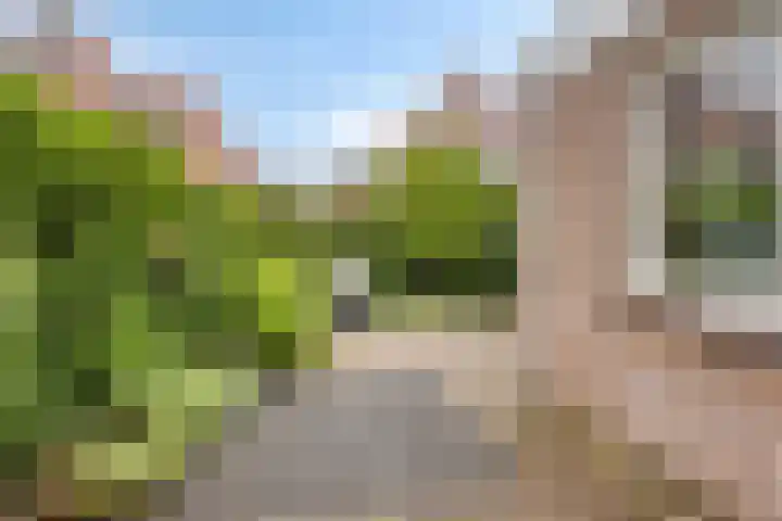 Overslaggronden 21 Kampen thumbnail 66