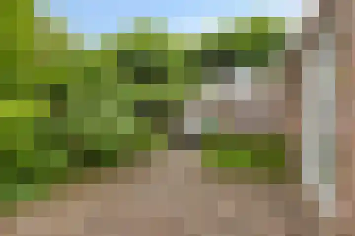 Overslaggronden 21 Kampen thumbnail 68