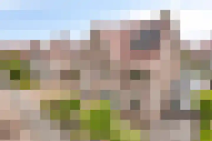 Overslaggronden 21 Kampen thumbnail 7