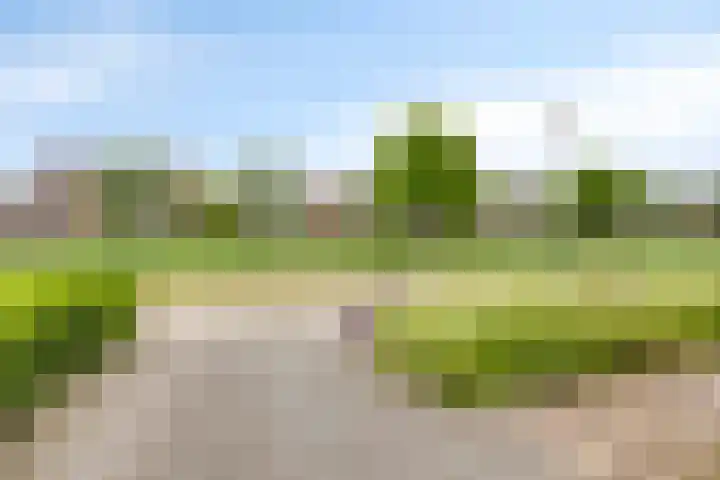 Overslaggronden 21 Kampen thumbnail 70