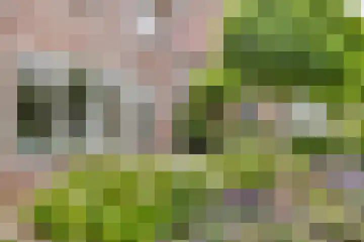 Overslaggronden 21 Kampen thumbnail 71