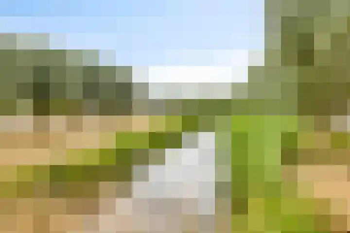 Overslaggronden 21 Kampen thumbnail 75
