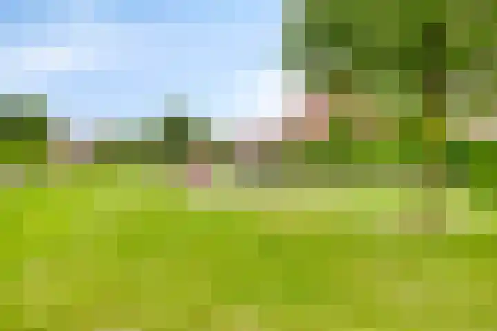 Overslaggronden 21 Kampen thumbnail 76
