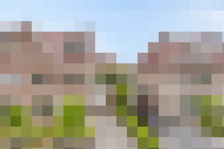 Overslaggronden 21 Kampen thumbnail 9