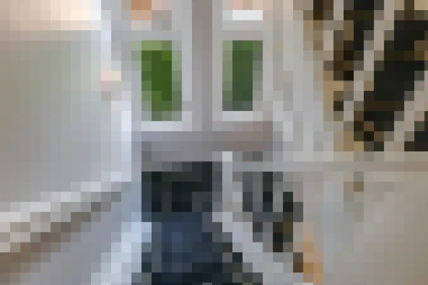 Oversluis 11 Ulft thumbnail 43