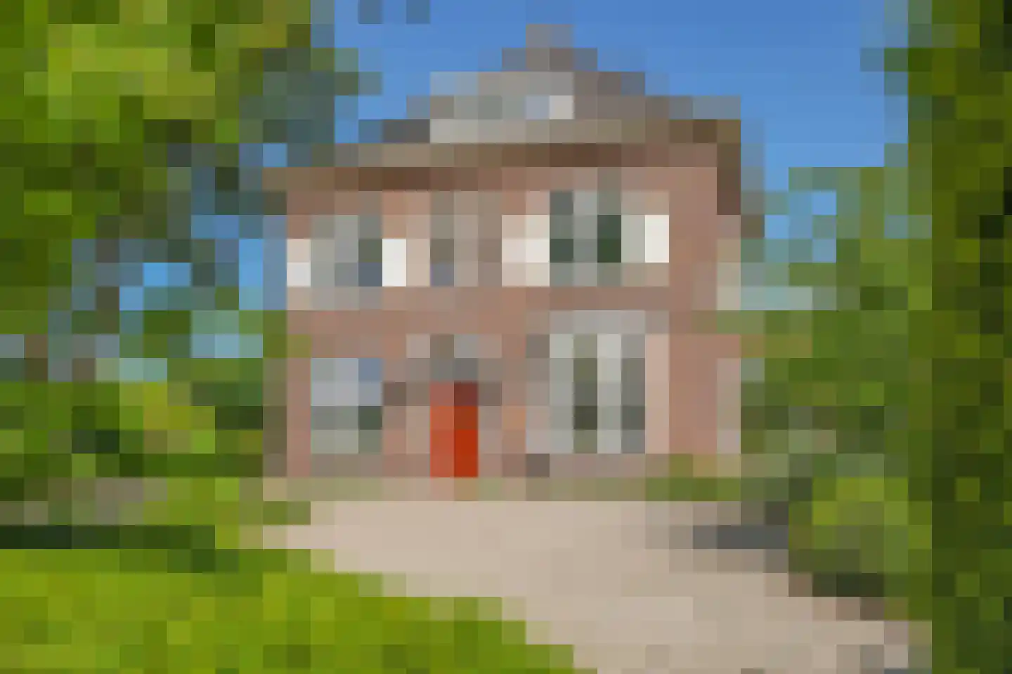 Oversluis 11 Ulft thumbnail 6