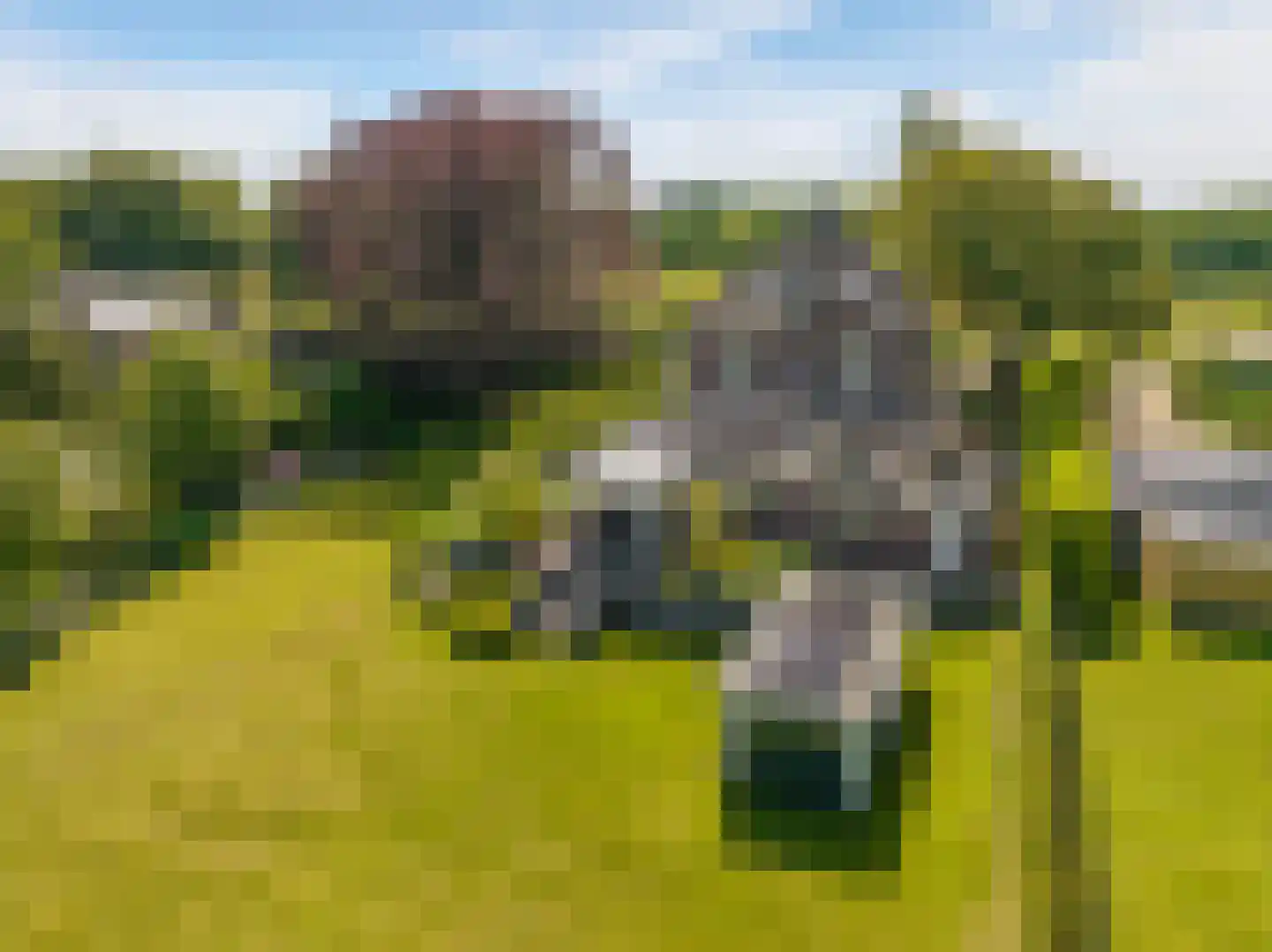 Oversluis 11 Ulft thumbnail 72