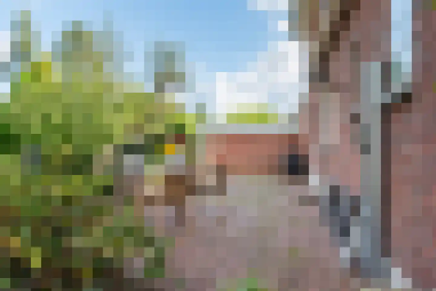 Oversluis 19 Ulft thumbnail 48