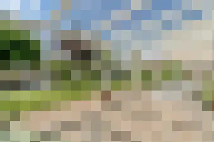 Overstag 5 Almere thumbnail 16