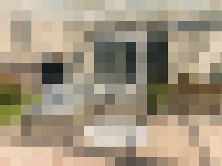 Overstag 5 Almere thumbnail 17