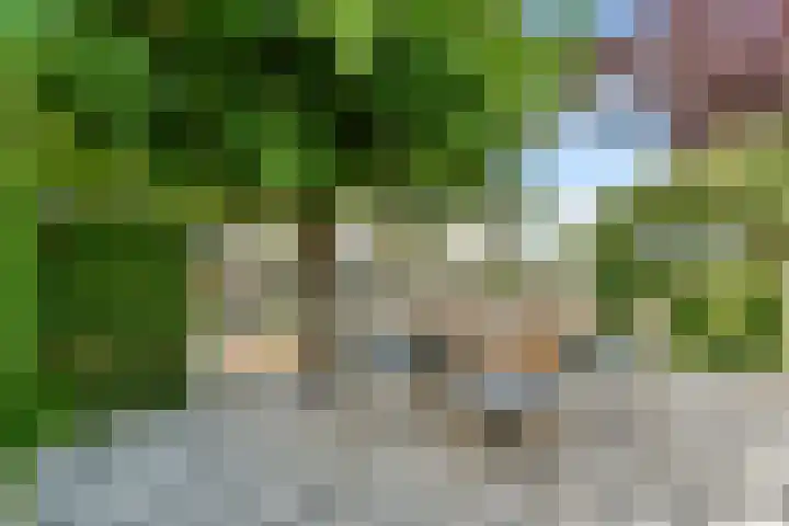 Overstag 5 Almere thumbnail 18