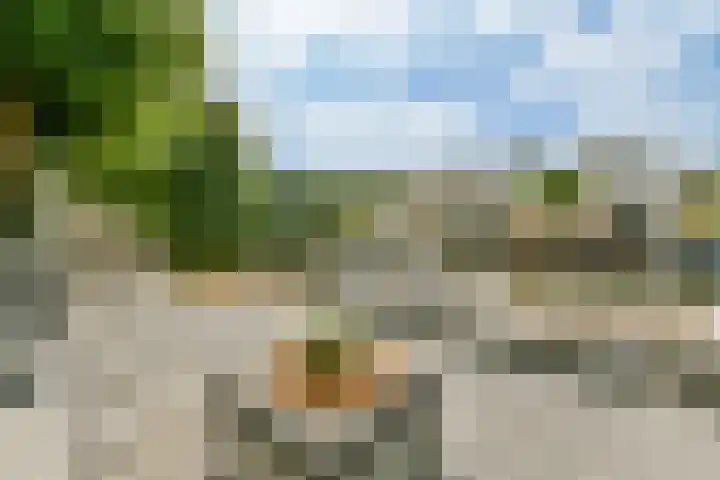 Overstag 5 Almere thumbnail 20