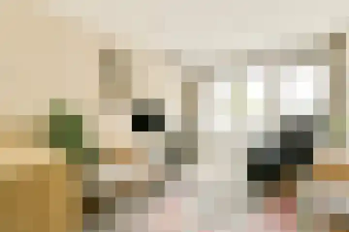 Overstag 5 Almere thumbnail 24