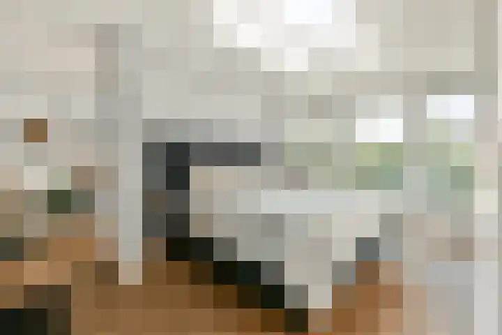 Overstag 5 Almere thumbnail 30
