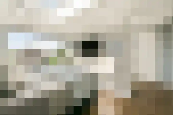 Overstag 5 Almere thumbnail 31