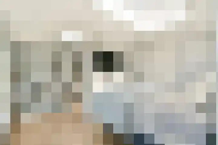 Overstag 5 Almere thumbnail 32