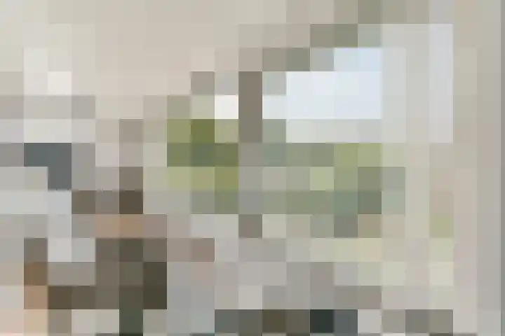 Overstag 5 Almere thumbnail 33