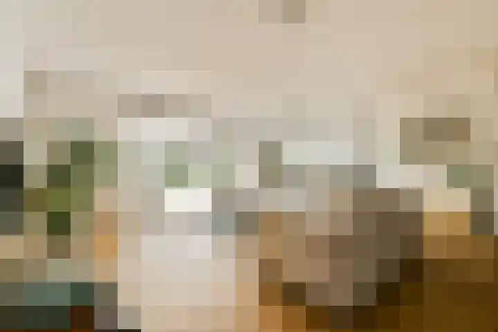 Overstag 5 Almere thumbnail 4