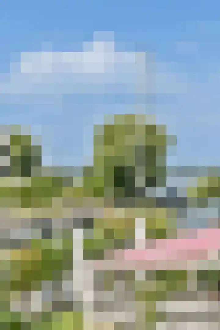 Overstag 5 Almere thumbnail 41