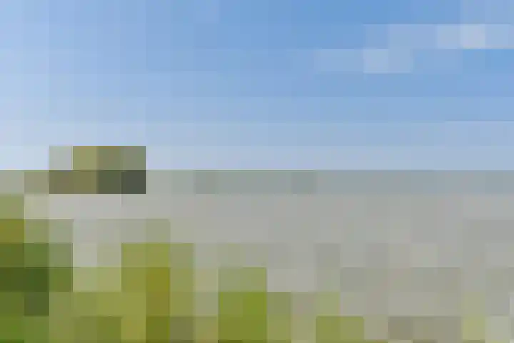 Overstag 5 Almere thumbnail 58