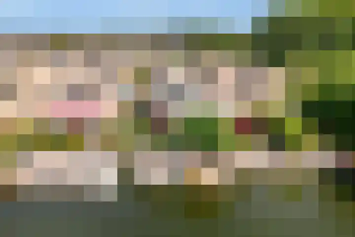 Overstag 5 Almere thumbnail 60