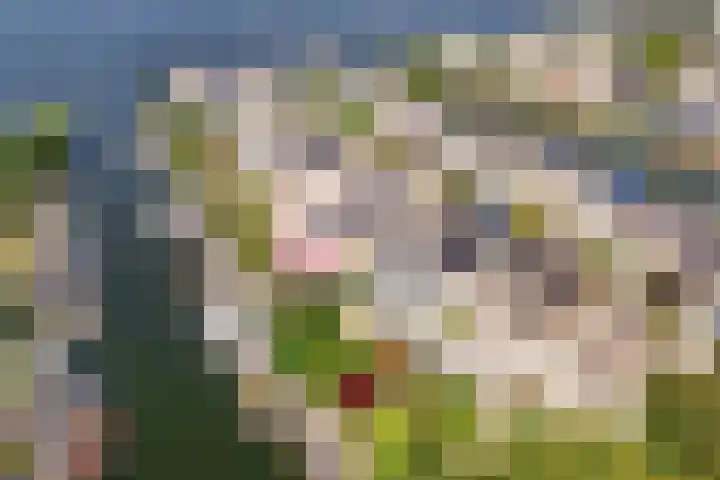 Overstag 5 Almere thumbnail 61