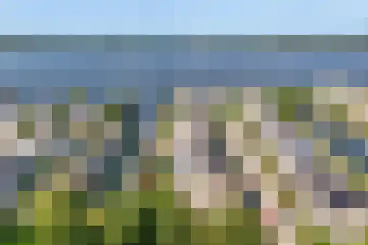 Overstag 5 Almere thumbnail 62