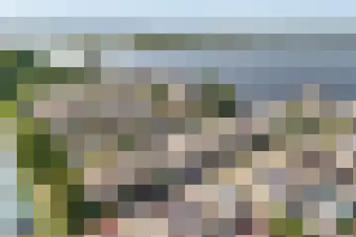 Overstag 5 Almere thumbnail 63