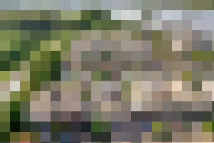 Overstag 5 Almere thumbnail 64