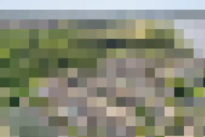Overstag 5 Almere thumbnail 65