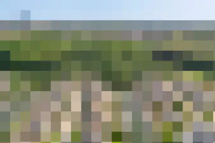 Overstag 5 Almere thumbnail 66