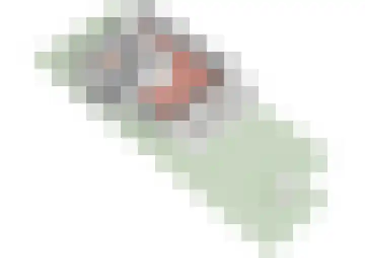 Overstag 5 Almere thumbnail 69