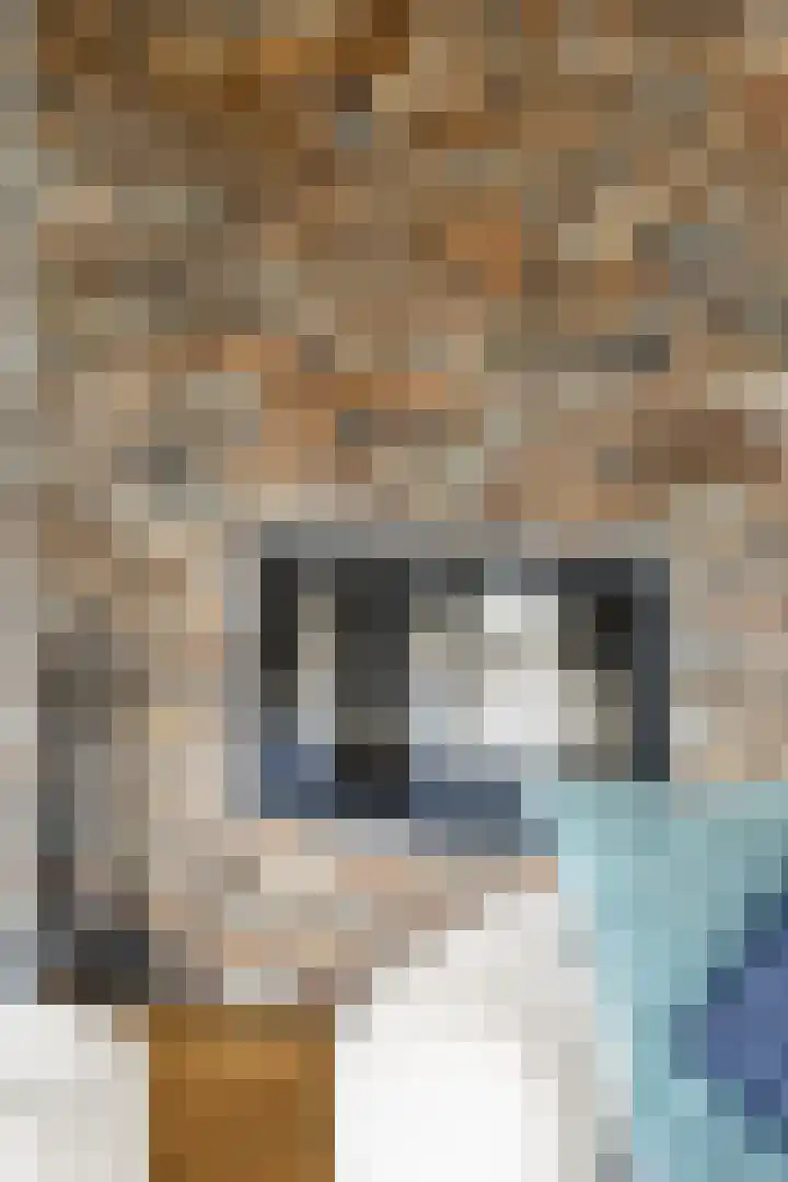 Overstag 5 Almere thumbnail 9