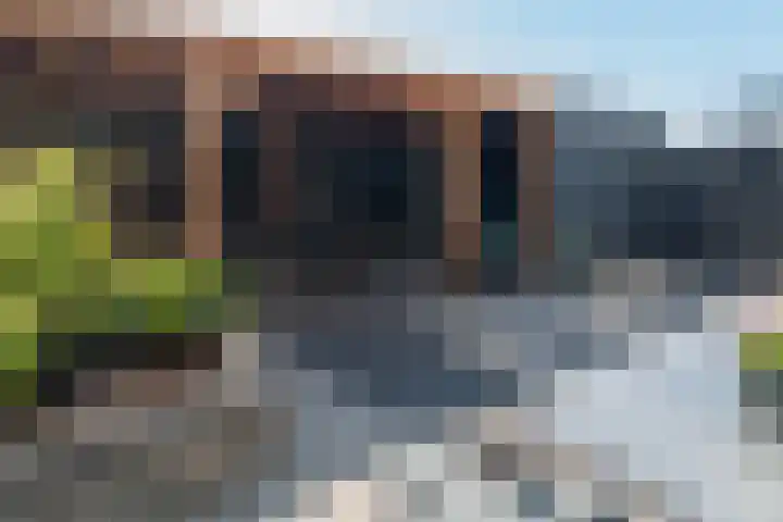 Overstapwei 17 Barendrecht thumbnail 4