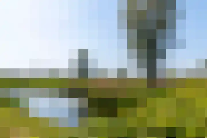 Overstapwei 17 Barendrecht thumbnail 66