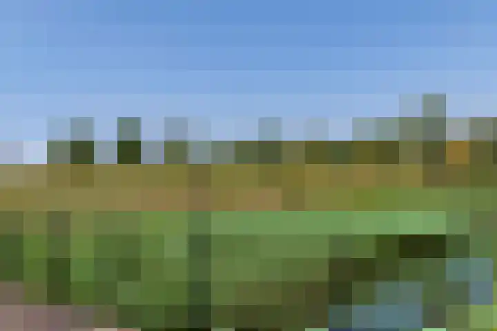 Overstapwei 17 Barendrecht thumbnail 67