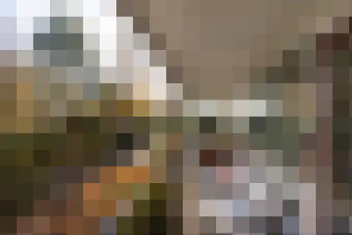 Overste den Oudenlaan 13 Aerdenhout thumbnail 19