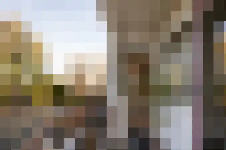 Overste den Oudenlaan 13 Aerdenhout thumbnail 20