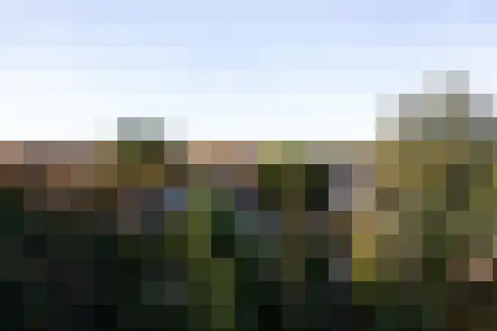 Overste den Oudenlaan 13 Aerdenhout thumbnail 23