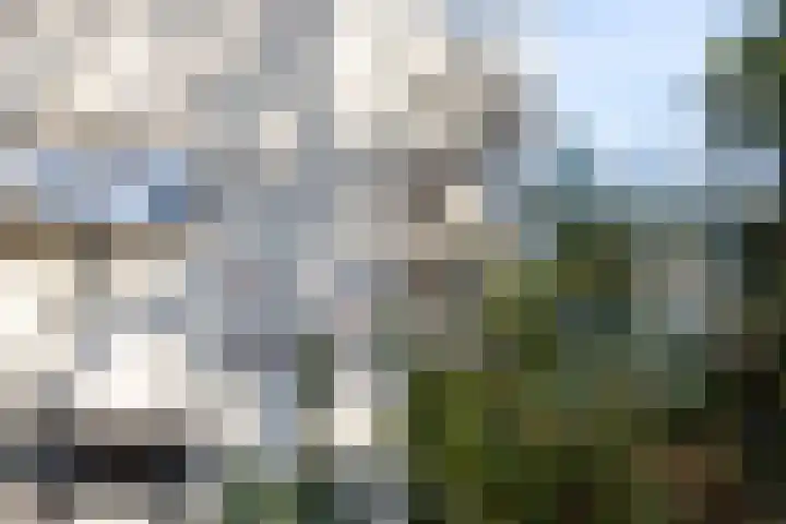 Overste den Oudenlaan 13 Aerdenhout thumbnail 24